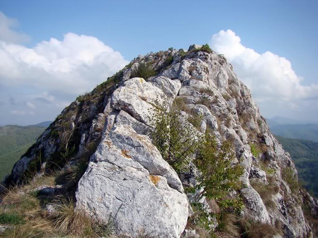 Cabana Gáldmező Kültér fotó