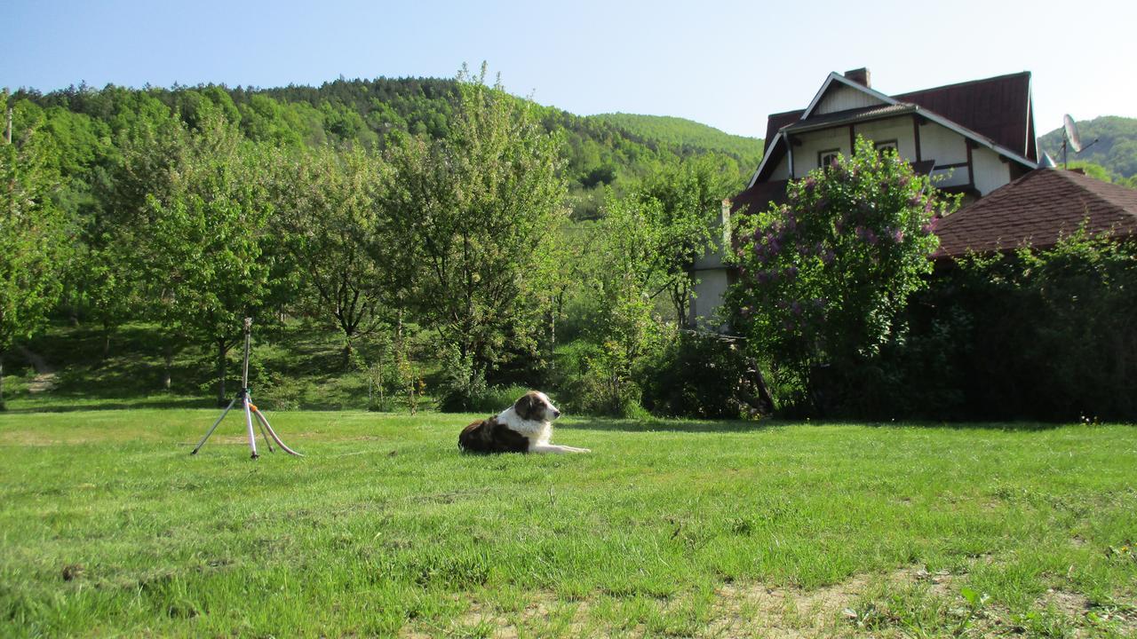 Cabana Gáldmező Kültér fotó